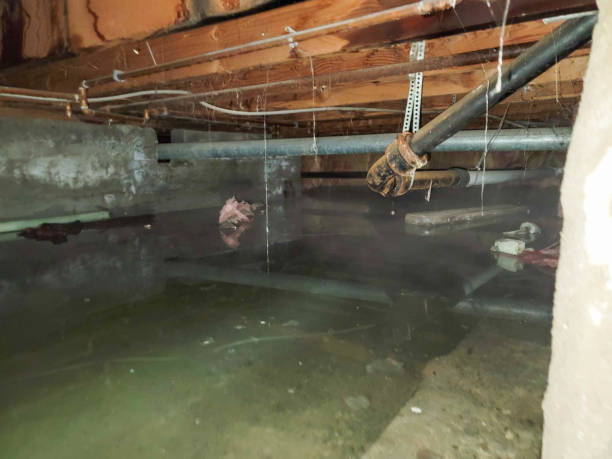 Water damage restoration insurance claims in WA