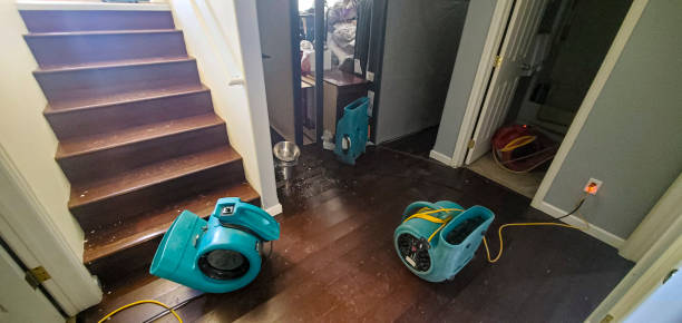 Best Water damage restoration specialists  in Seatac, WA