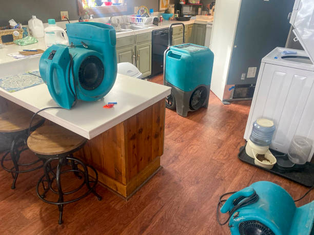  Seatac, WA Water damage restoration Pros