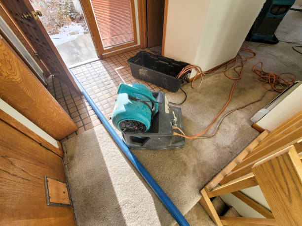 Best Water damage restoration near me  in Seatac, WA
