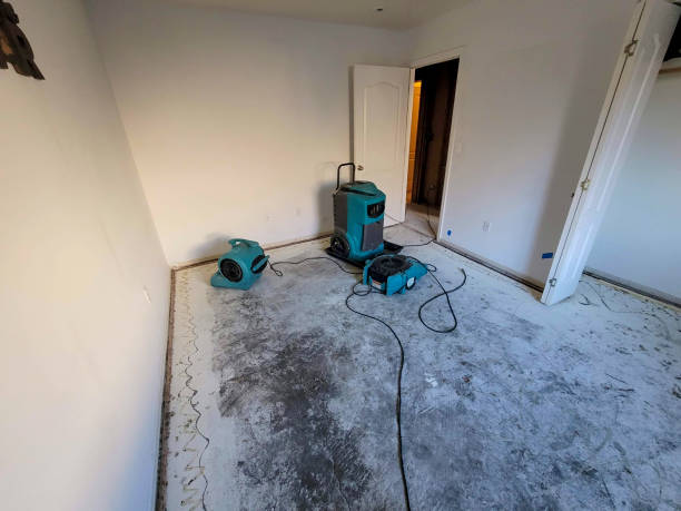 Best Water damage restoration mold remediation  in Seatac, WA