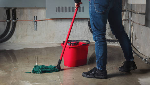 Best Basement water damage restoration  in Seatac, WA